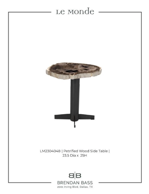 Petrified Wood Side Table