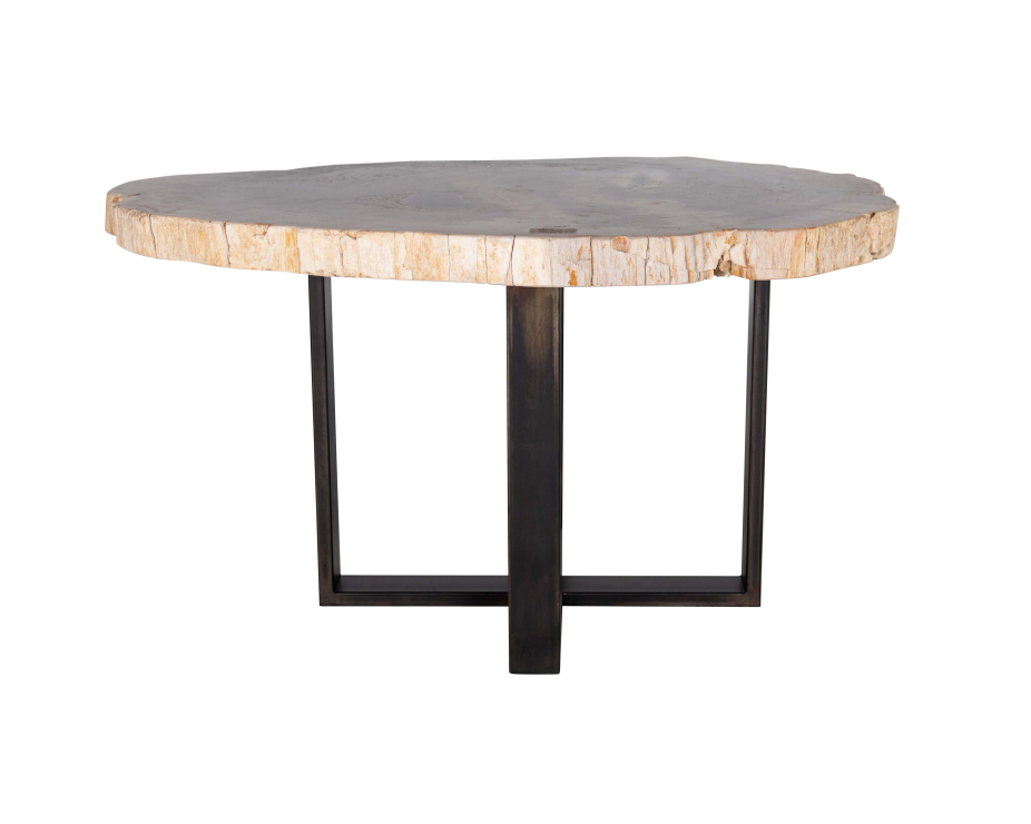 Petrified Wood Slab on Cross Sectional Patina Steel Base
