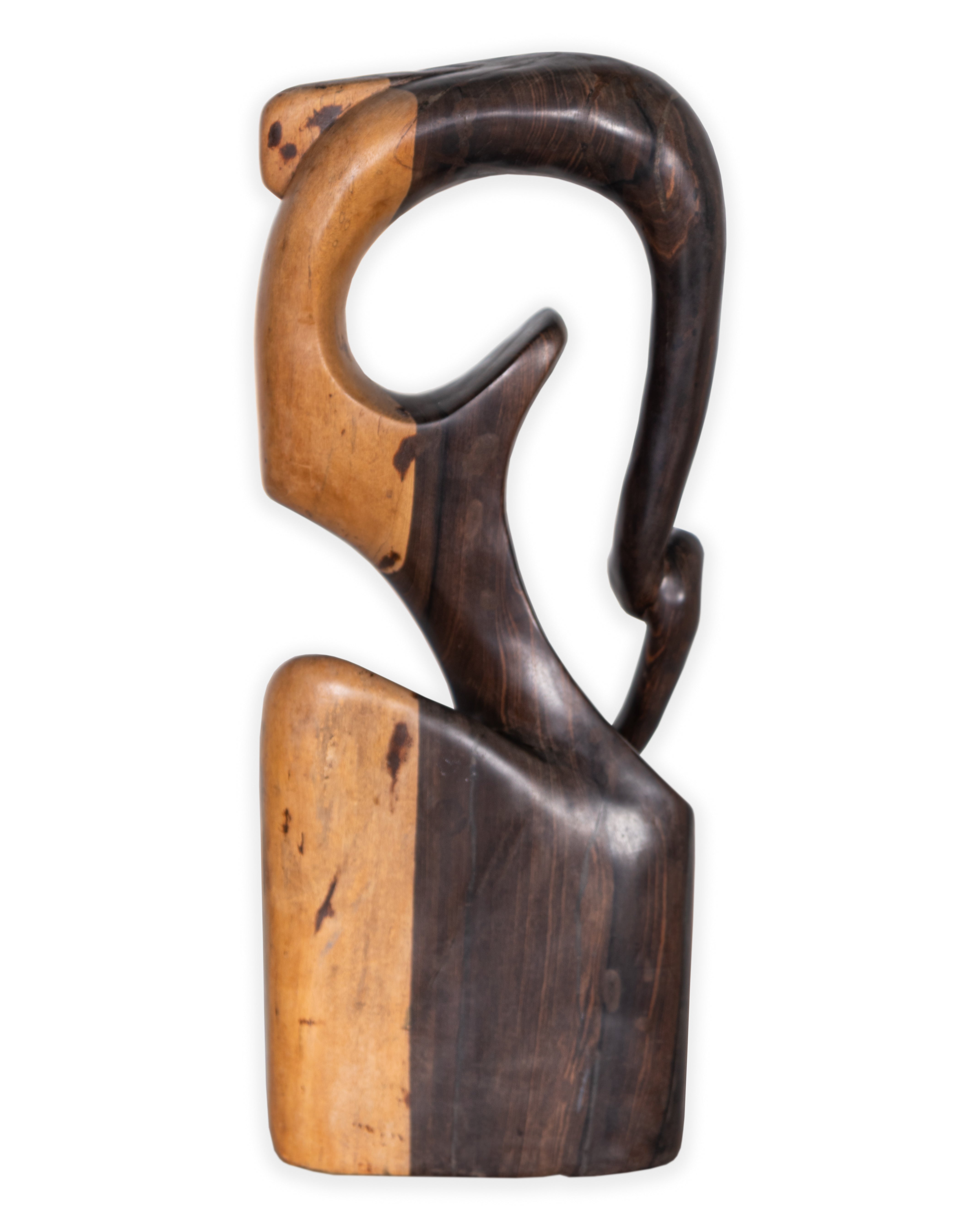 Carved Ebony Abstract Bust
