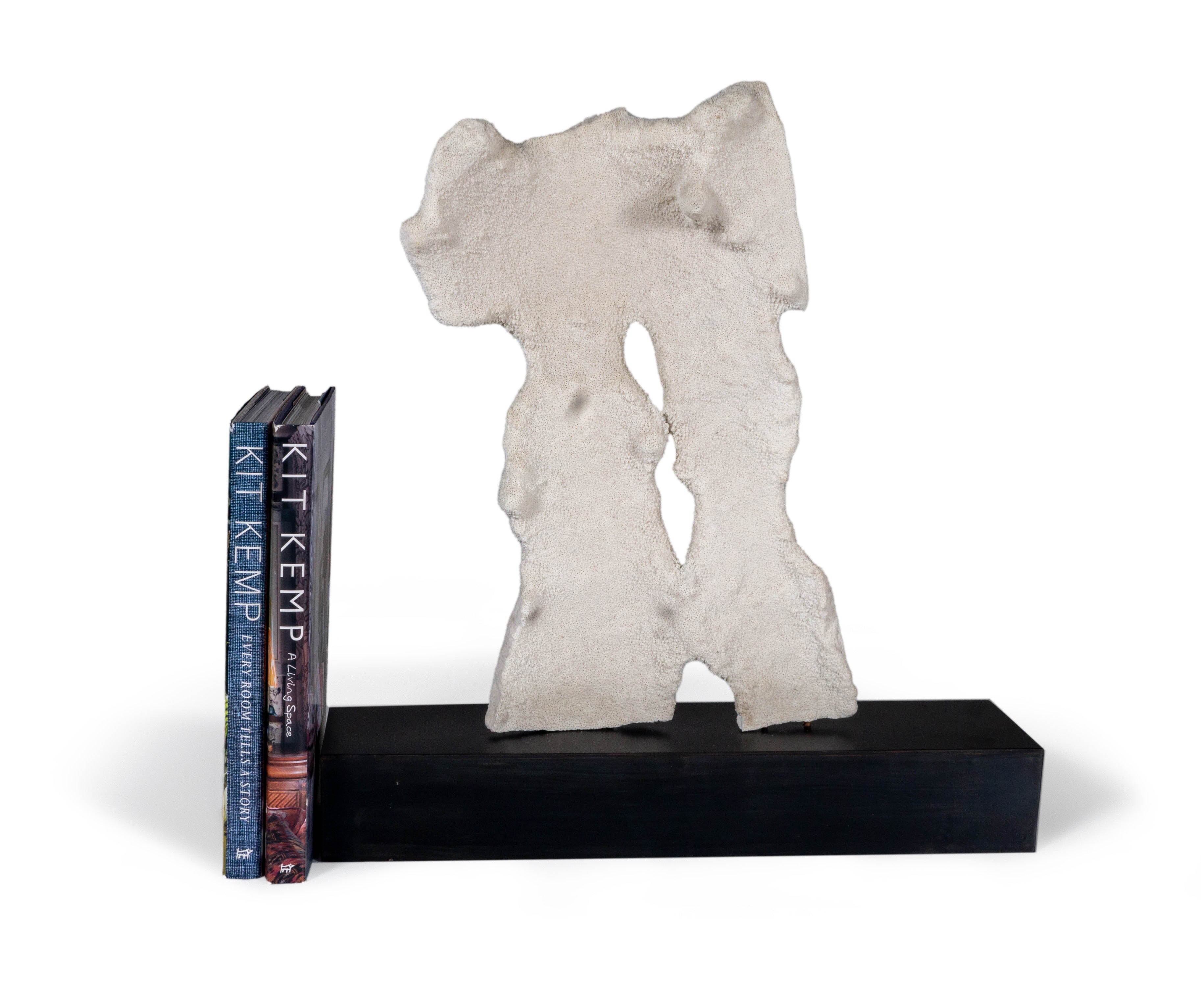 Coral on Metal Base Sculpture