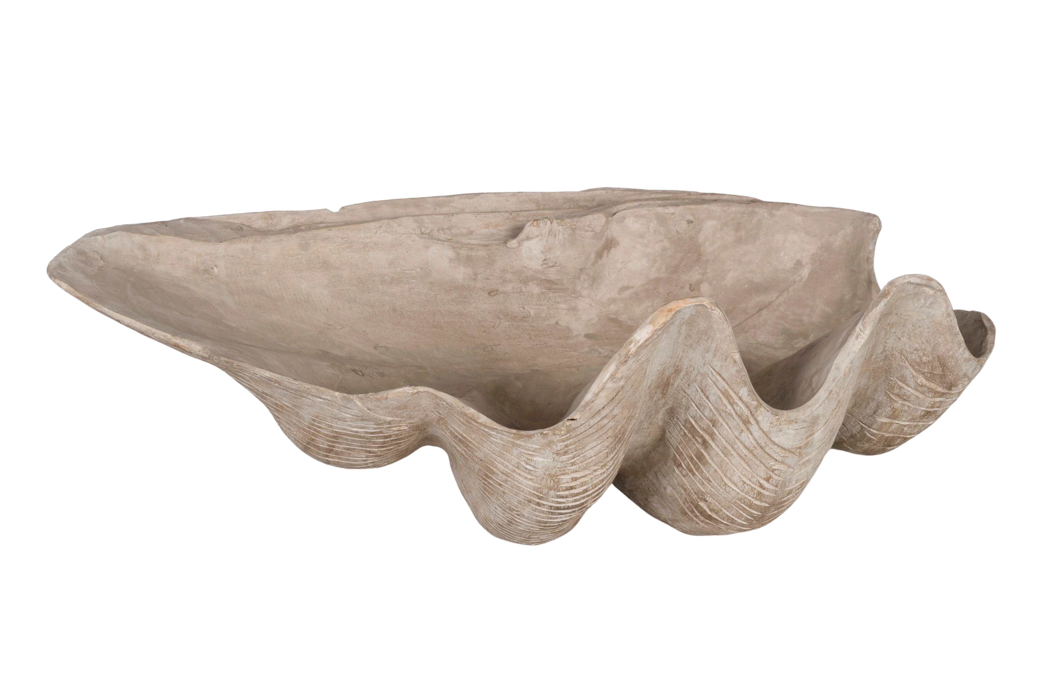 Wood Carved Sea Clam Shell