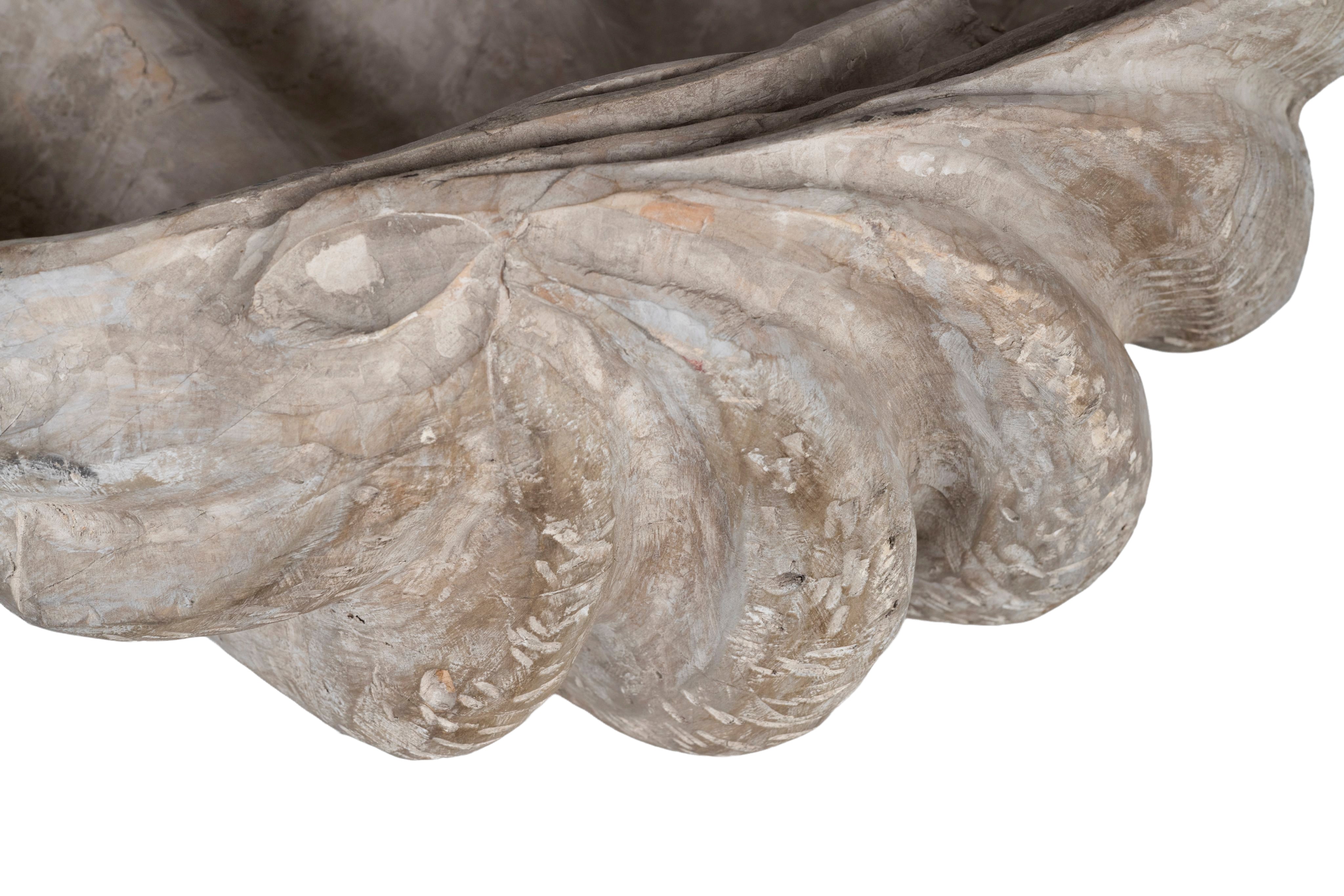 Wood Carved Sea Clam Shell