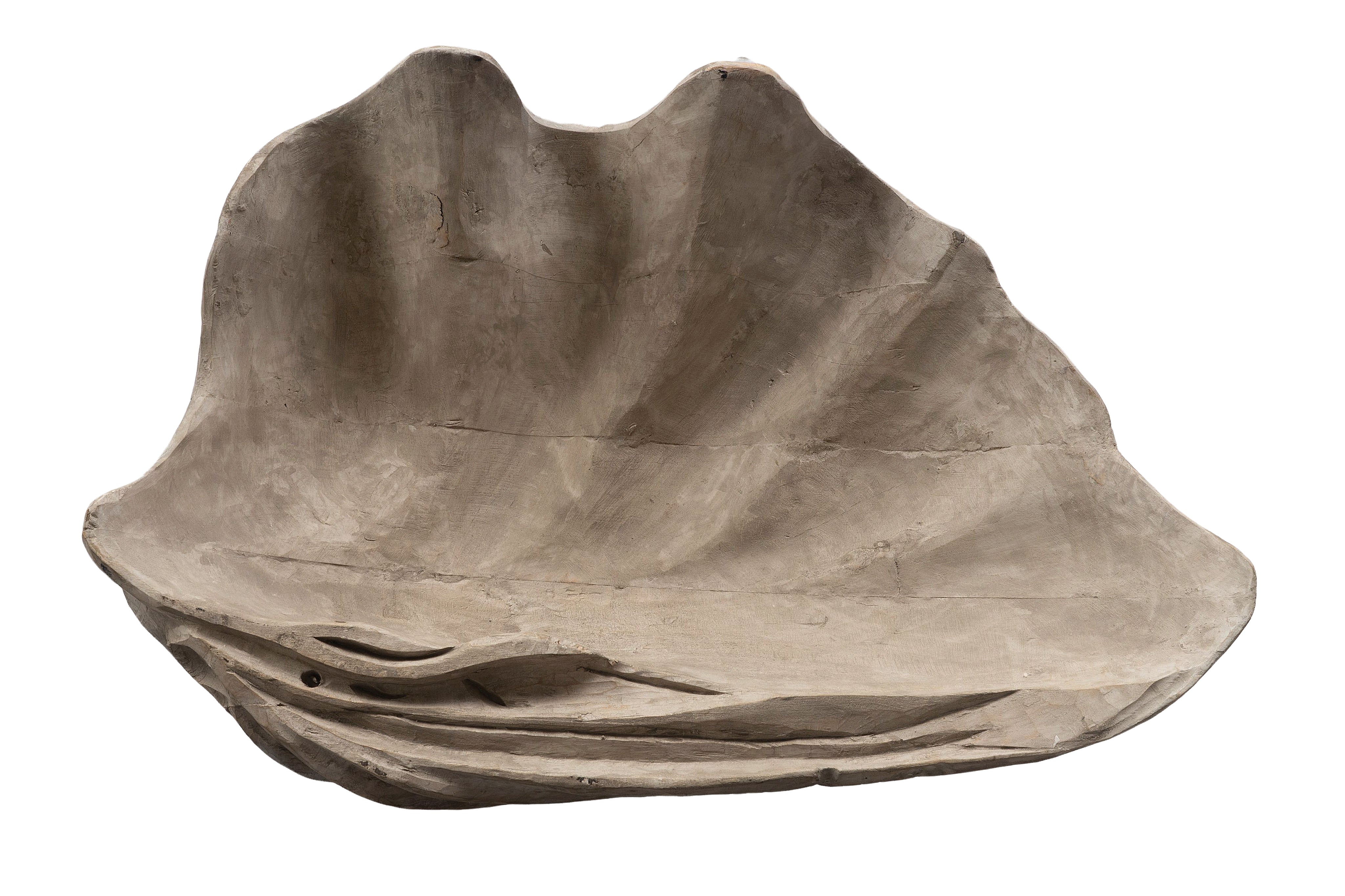 Wood Carved Sea Clam Shell