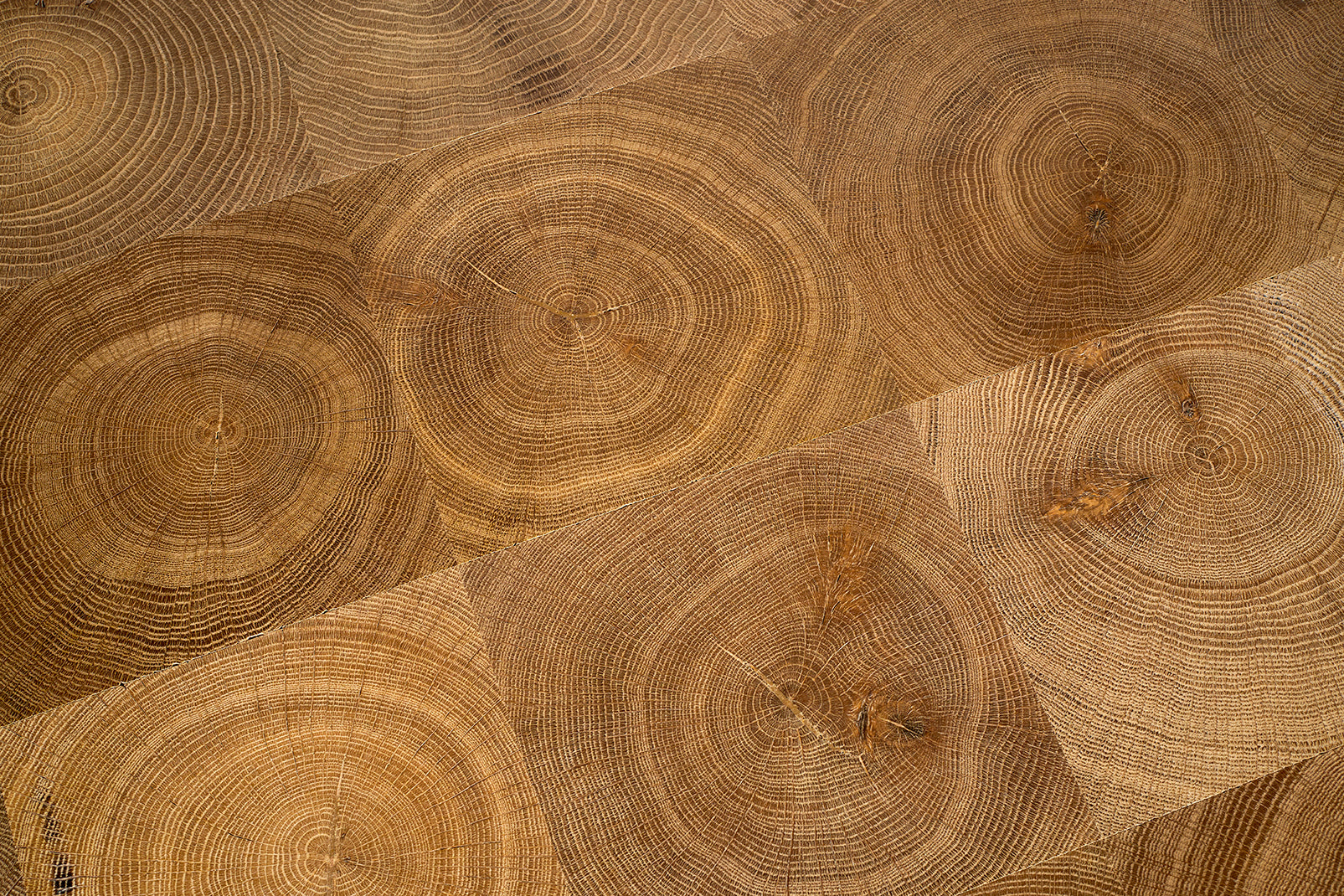 End Cut Oak Coffee Table with Steel Banding and Base